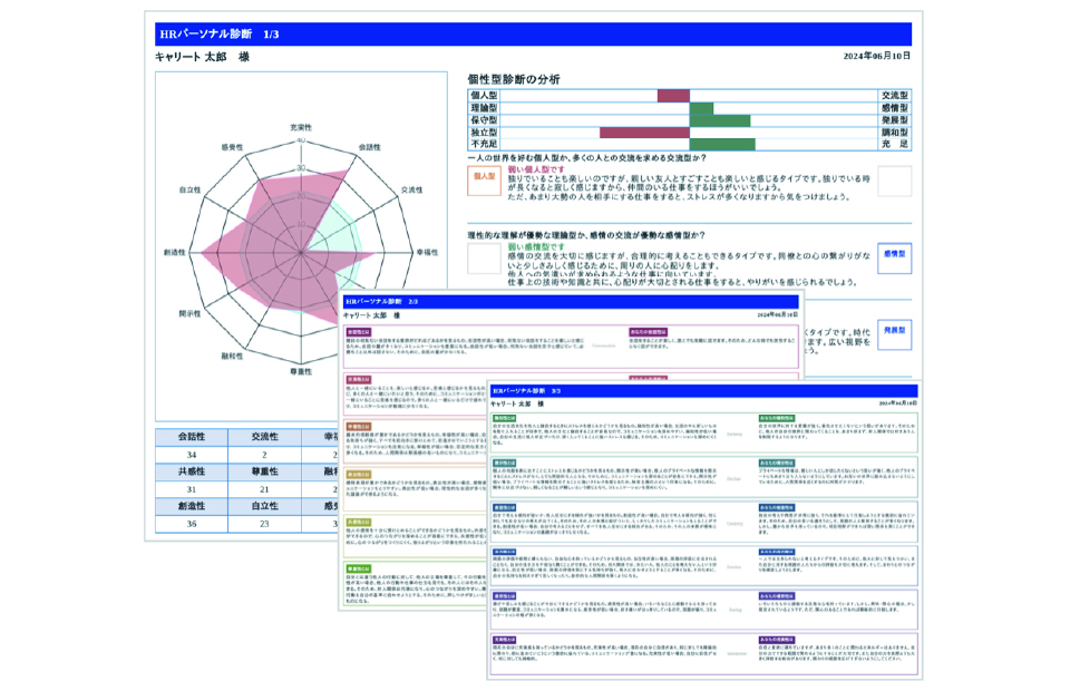 個性・特性分析（HRパーソナル診断）